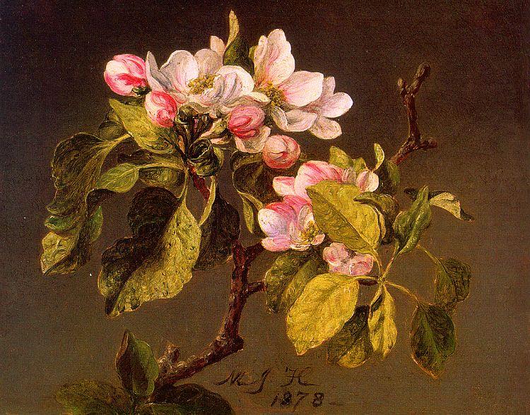 Martin Johnson Heade Apple Blossoms Germany oil painting art